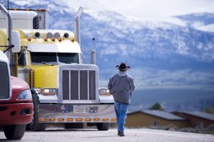 trucking consultants 