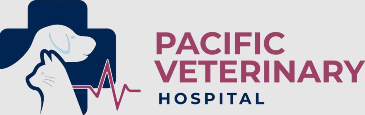 vet hospitals hiring near me