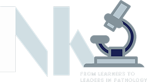 NK-Training-Center-Logo