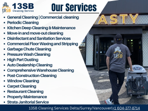 best cleaning services in delta,surrey,vancouver,langley,abbotsford,burnaby