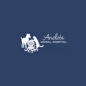Anclote logo