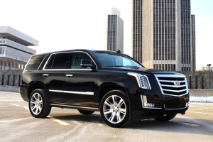 chauffeur